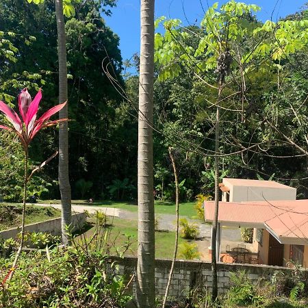Alma Del Bosque Vacation Home And Apartments Quepos Ngoại thất bức ảnh