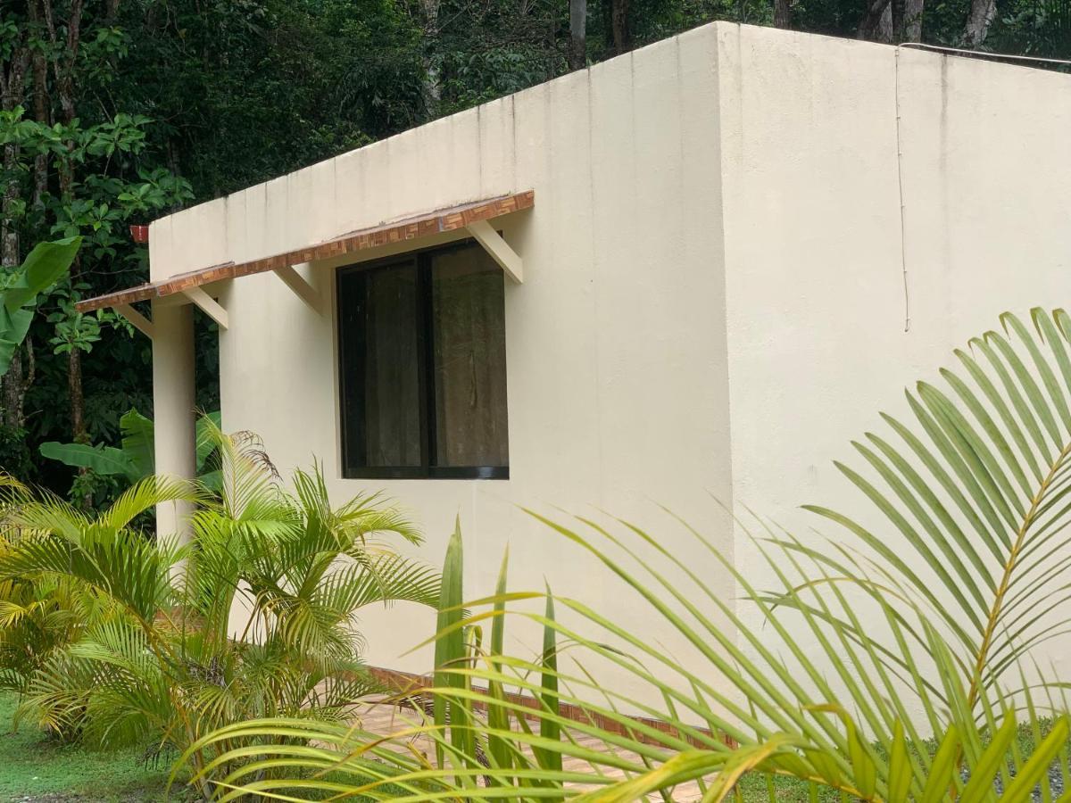 Alma Del Bosque Vacation Home And Apartments Quepos Ngoại thất bức ảnh