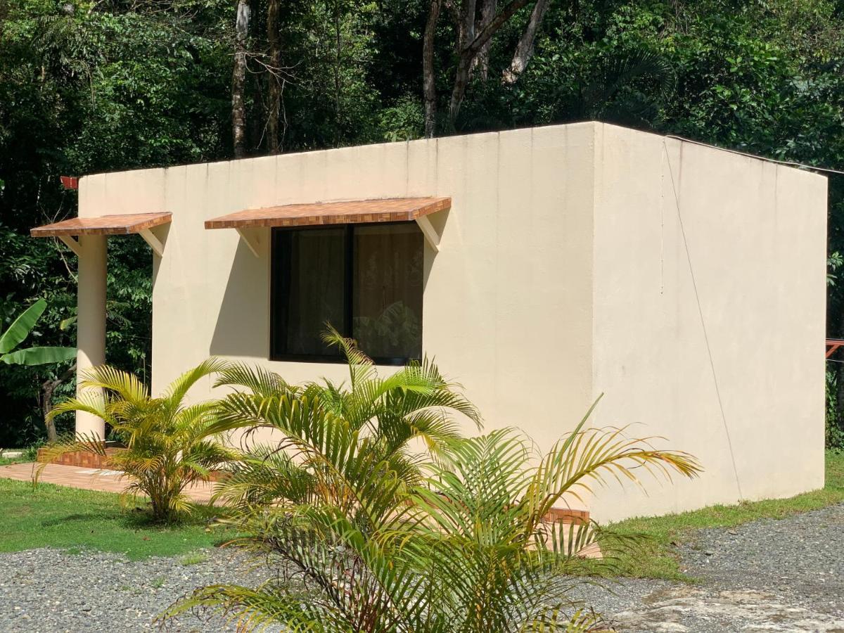 Alma Del Bosque Vacation Home And Apartments Quepos Ngoại thất bức ảnh