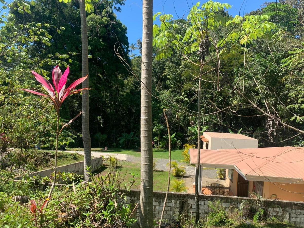 Alma Del Bosque Vacation Home And Apartments Quepos Ngoại thất bức ảnh
